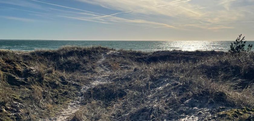 Coastline of Saaremaa. Maria Kallaste