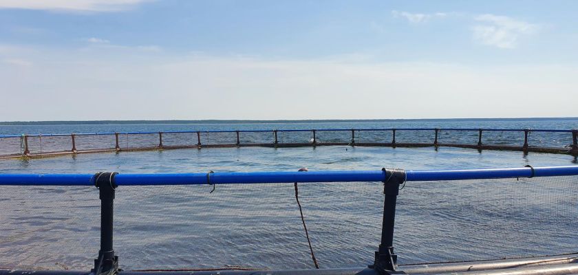 Veere fish farming. Maria Kallaste